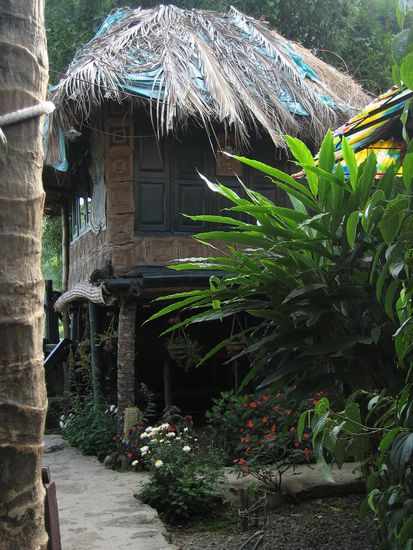 unsere feine tribal hut