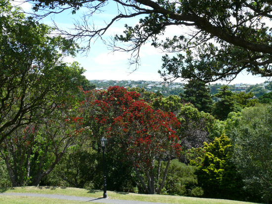 Blick von unserem Picknickplatz