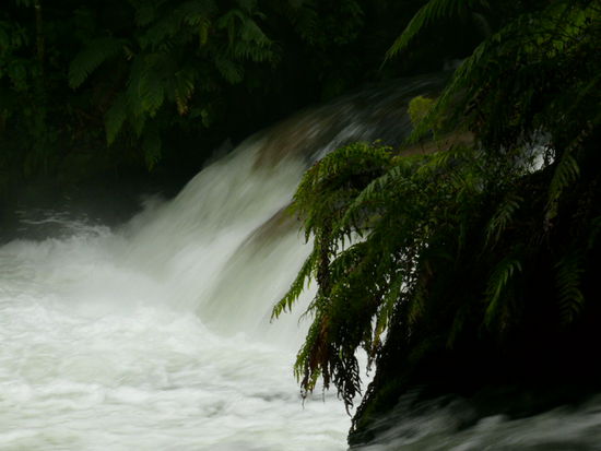 Ein Wasserfall im Hinterland von Rotorua, wir haben uns gegen Rafting entschieden, bei den Temperaturen wollen wir nicht in einen noch kaelteren Fluss fallen. Wir Memmen.