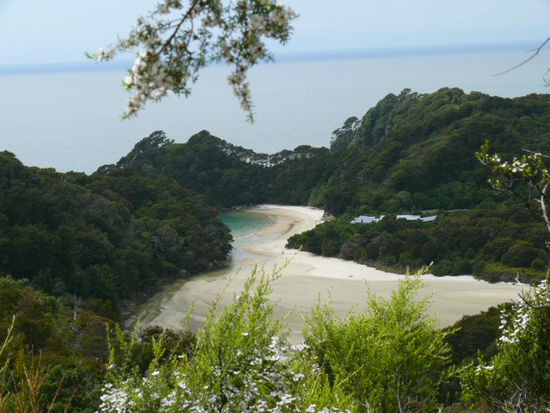 Torrent Bay im Abel Tasman Nationalpark