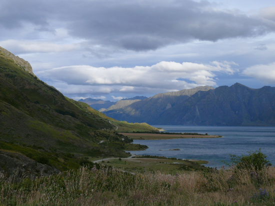 Diesmal sind wir uns sicher: auf der Fahrt durch die suedlichen Alpen von Haast nach Wanaka