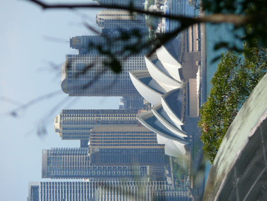 Das Motto des Zoos ist "zoo with a view", und das stimmt. Ausblick waehrend der Vogelflugshow
