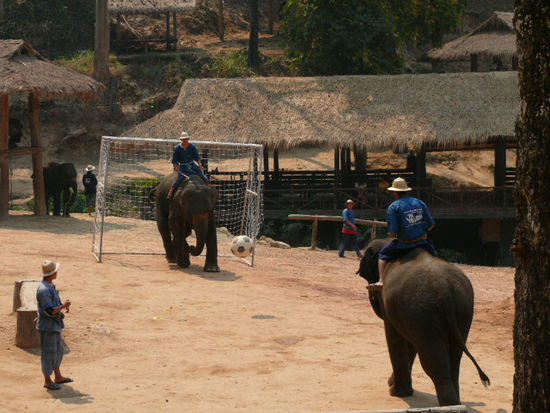 Hier spielen sie eine Runde Fussball