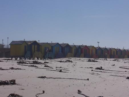Ein Strand auf dem Weg zum Whale-watching.