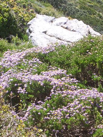 Schoene Natur...