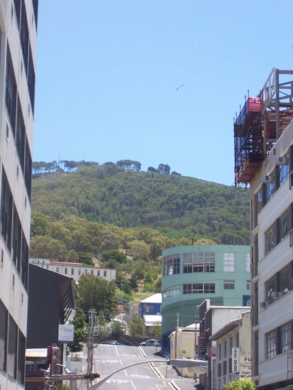 Der Blick vom Backpacker auf Signal Hill.