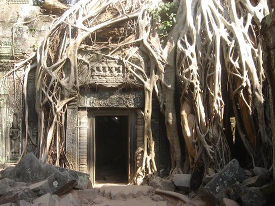 Ta Prohm