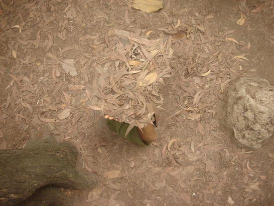 abtauchen in einen der Tunnel von Cu Chi