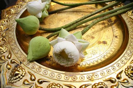 Blumen auf einem Goldteller