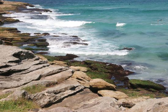 Kueste zwischen Bondi und Tamarama