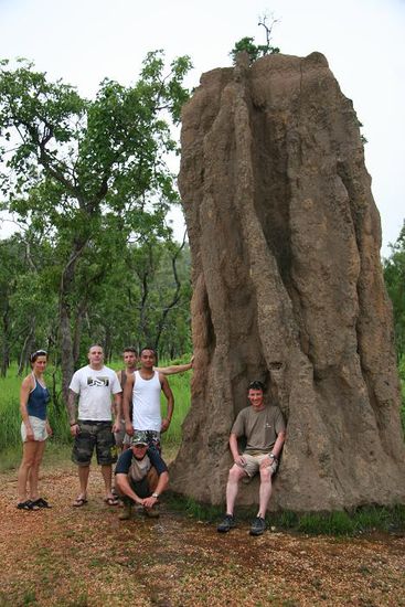 Termite Mound und Fiona, Nick, David, Jerry, Jack und Brent
