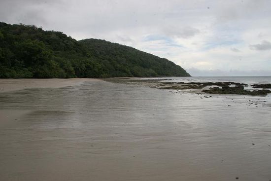 Strand am Cape Tribulation