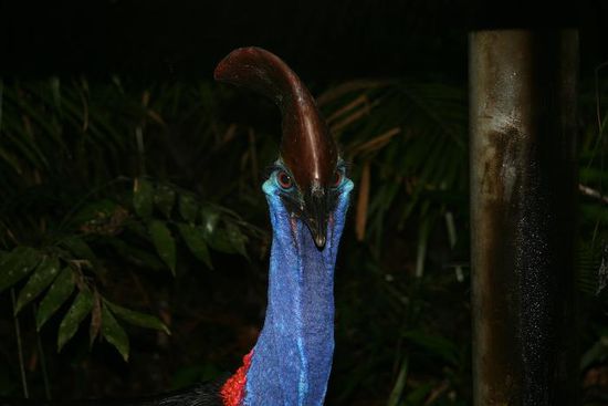 wenn Blicke toeten koennten !!!