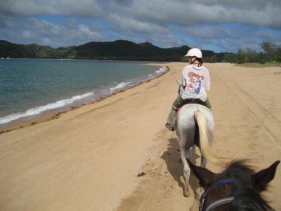 reiten am Horseshoe Bay Strand