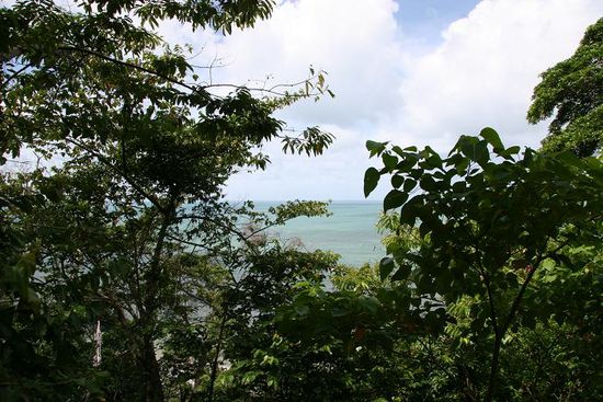 Where the Reef meets the Rainforrest