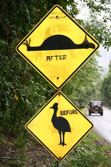 Achtung Cassowaries ... die beruehmten Verkehrsschilder - BEFORE/AFTER