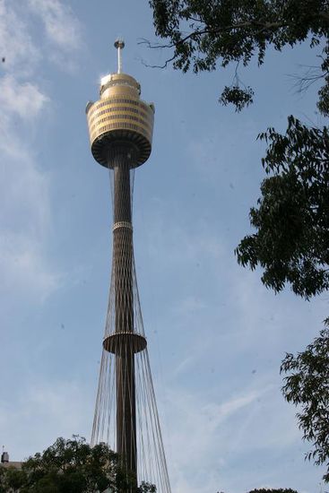 Sky Tower vom Hyde Park aus