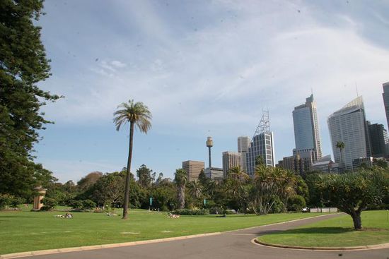 Botanic Garden vor der Skyline von Sydney