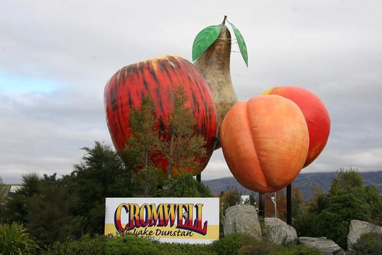 Cromwell am Lake Dunstan