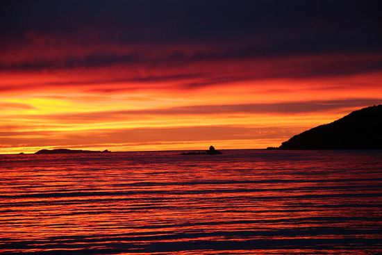 Stewart Island - Land of the glowing skies