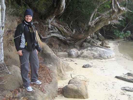 Ich und ein See-Elefant am Strand