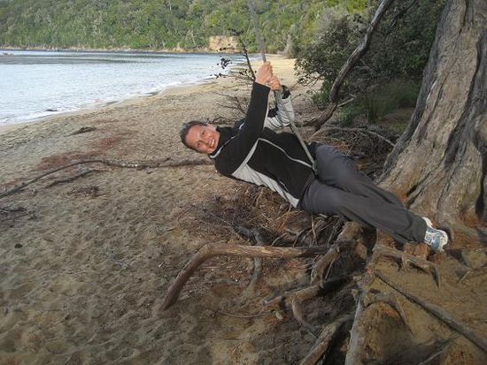 The Swing am Sydney Cove