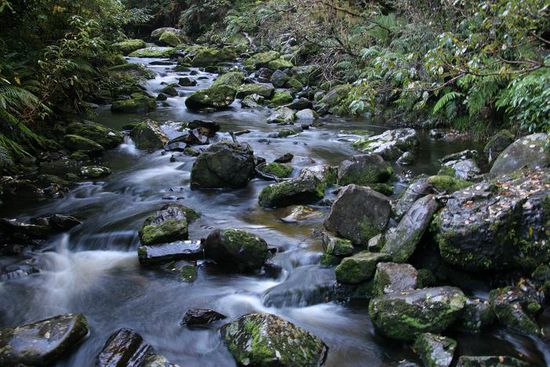 Bach auf dem Weg zu den McLean Falls