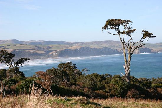 Catlins Kueste