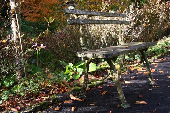 Parkbank im Glenfalloch Woodland Garden