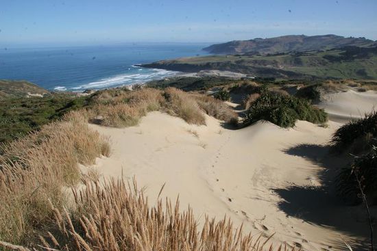 Sandymount hinunter zur Sandfly Bay