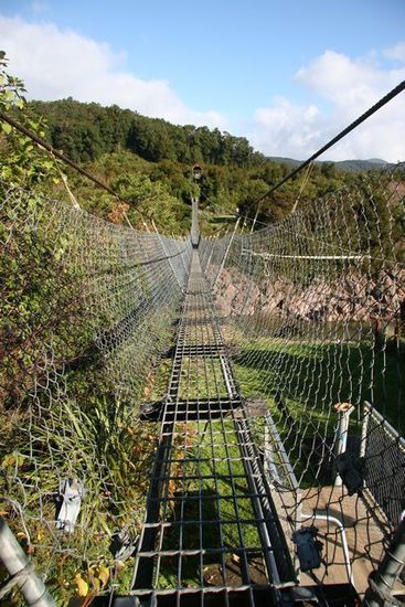 The Buller Gorge Swingbridge - die laengste Neuseelands