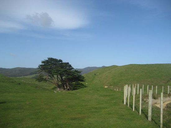 Umgebung von Cape Farewell