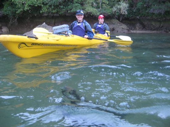 im Seakayak mit James in Shag Harbour