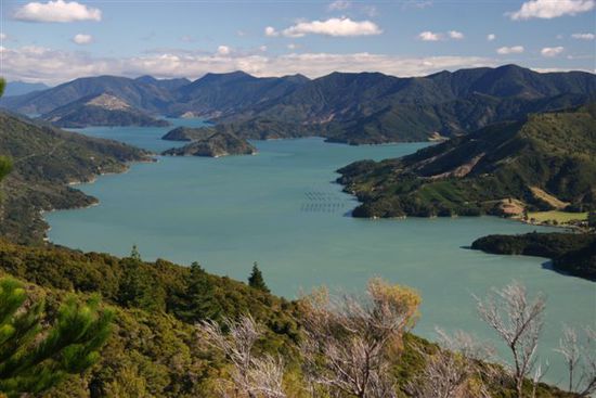 Marlborough Sounds