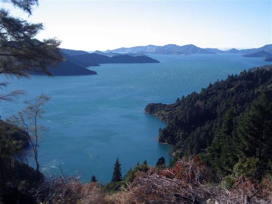 Marlborough Sounds