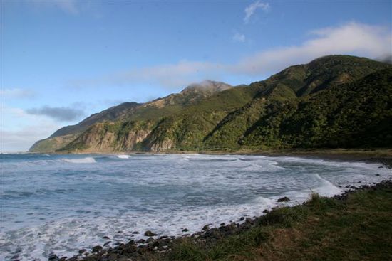Küste nahe von Kaikoura