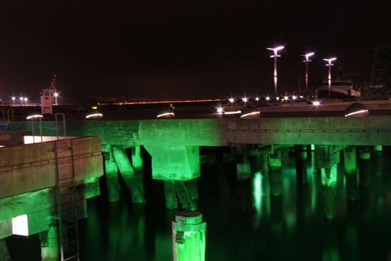 der Hafen bei Nacht