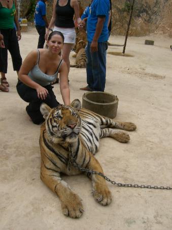 Tigerkraulen macht spass (nicht das ich nicht die hosen voll hatte)