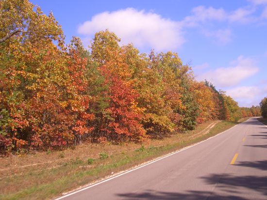 Naja, Indian Summer ist es nicht gerade, aber trotzdem ist es schön hier!