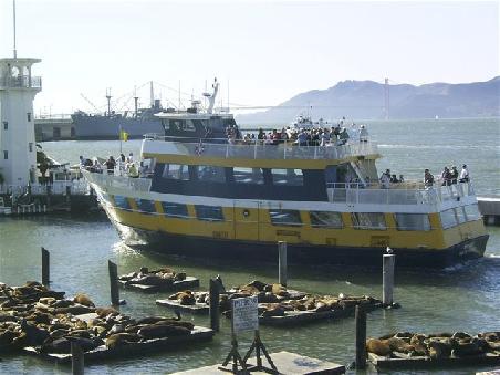 Sea-Lions und Fähre nach Alcatraz.