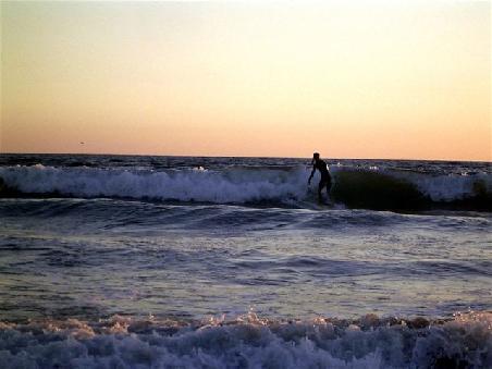 Venice Beach.