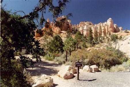Bryce Canyon.