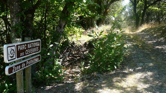 Unterwegs im Parc National des Cevennes