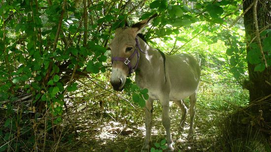 Hauptsache, ich habe etwas zum Knabbern