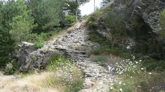 Auch dies ist ein Weg