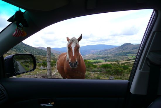 "Na Du? Hast Du Lust? Gehn wir zu Dir oder gehn wir zu mir?"