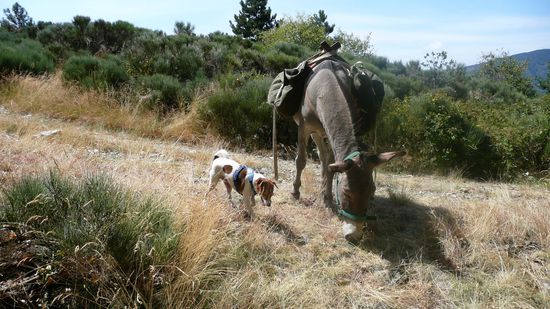 "Was ißt Du denn da? Schmeckt das überhaupt?"