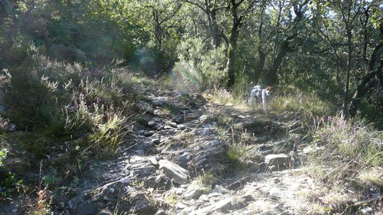 "Wo bleibt Ihr denn?"