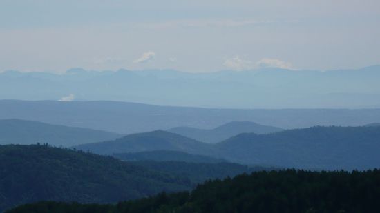 Sieht aus wie gemalt...