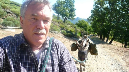 Vanille läßt sich immer so hängen